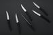 Набір з 6 ножів Thiers з чорною матовою ручкою